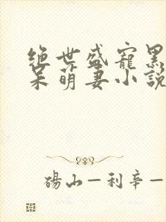 绝世盛宠黑帝的呆萌妻小说