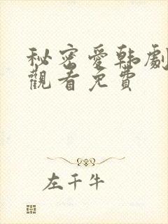 秘密爱韩剧在线观看免费