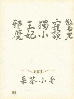 邪王独宠惊世小魔妃小说免费阅读封面