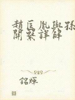 赵匡胤与孙太真关系详解