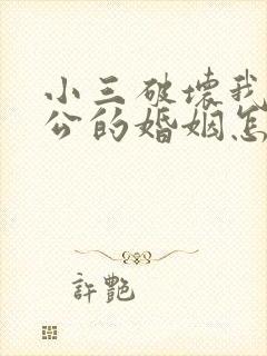 小三破坏我和老公的婚姻怎么处理