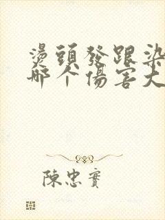 烫头发跟染头发哪个伤害大