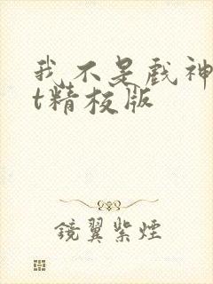 我不是戏神txt精校版