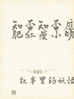 知否知否应是绿肥红瘦小明兰扮演者