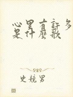心里有许多的愁是什么歌封面