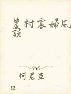 农村寡妇风流小说