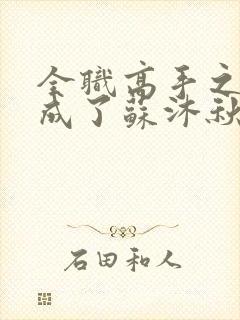 全职高手之我穿成了苏沐秋