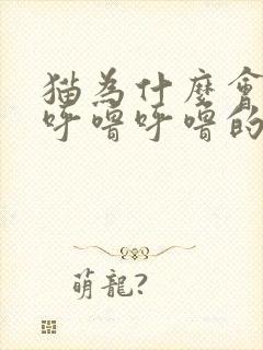 猫为什么会发出呼噜呼噜的声音