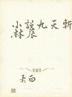 小说九天斩神诀,林辰