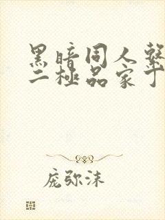 黑暗同人系列之二极品家丁