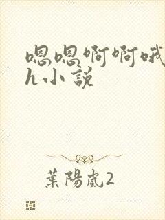 嗯嗯啊啊哦哦高h小说