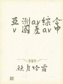 亚洲av综合aⅴ国产av中文