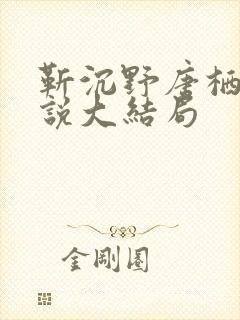 靳沉野唐栖雾小说大结局