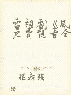 电视剧《风云》免费观看全集