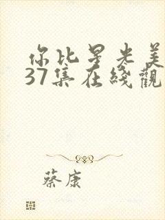 你比星光美丽第37集在线观看