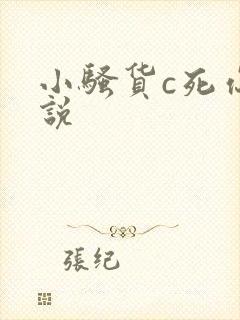 小骚货c死你小说