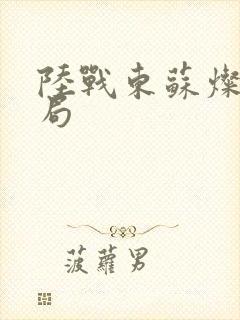 陆战东苏灿大结局封面