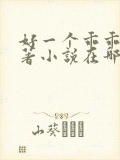 好一个乖乖女原著小说在哪看封面