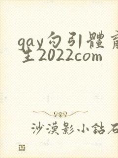 gay勾引体育生2022com
