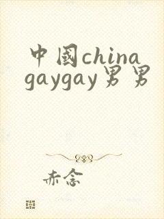 中国chinagaygay男男