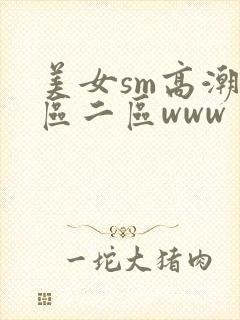 美女sm高潮一区二区www