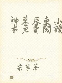 神墓辰东小说全本免费阅读