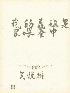 我的义姐是不是良喂养中封面