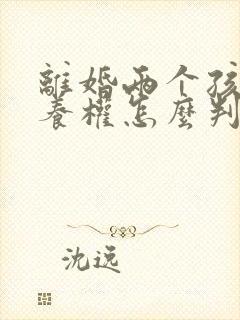 离婚两个孩子抚养权怎么判最新规定封面