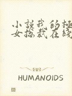 小说我的极品美女总裁在线观看