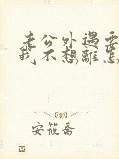 老公外遇要离婚我不想离怎么办封面