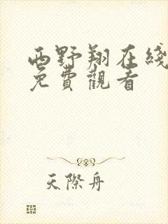 西野翔在线视频免费观看