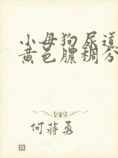 小母狗尿道口有黄色脓稠分泌物