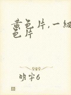 黄色片,一级黄色片