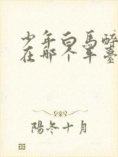 少年白马醉春风在哪个平台播出封面