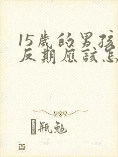 15岁的男孩逆反期应该怎么办封面