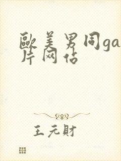 欧美男同gay片网站