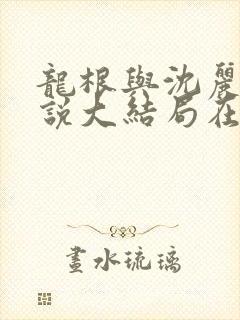 龙根与沈丽娟小说大结局在线阅读封面