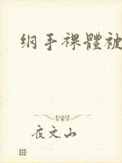 纲手裸体被艹封面