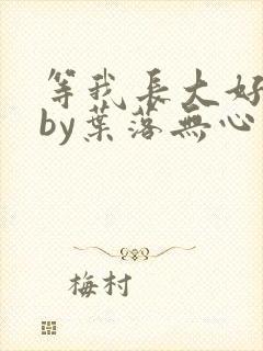 等我长大好不好by叶落无心封面