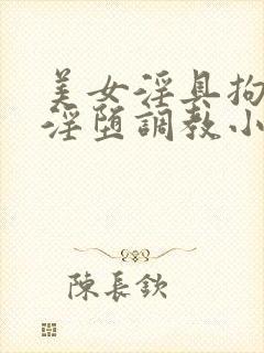 美女淫具拘束衣淫堕调教小说封面