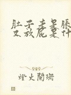 肚子老是胀气,又放屁是什么原因