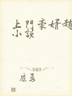 上门豪婿赵旭 小说