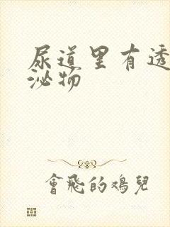 尿道里有透明分泌物