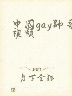 中国gay帅哥视频封面
