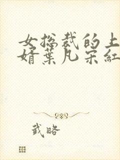 女总裁的上门女婿叶凡宋红颜