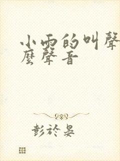 小雨的叫声是什么声音