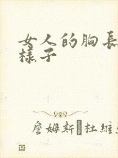 女人的胸长什么样子