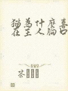 猫为什么喜欢睡在主人胸口封面