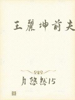 王丽坤前夫是谁封面