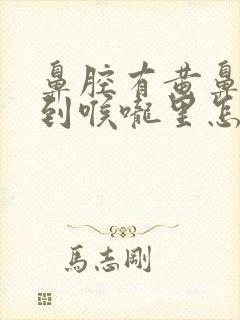 鼻腔有黄鼻涕流到喉咙里怎么办